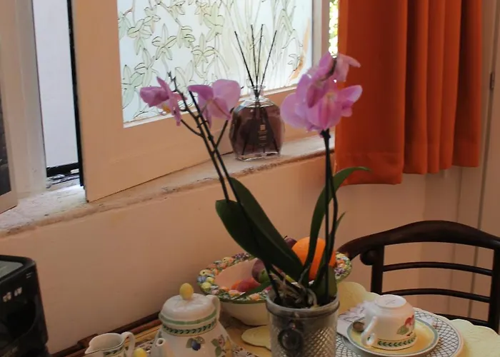 Acomodação com café da manhã  Casaflavio *
